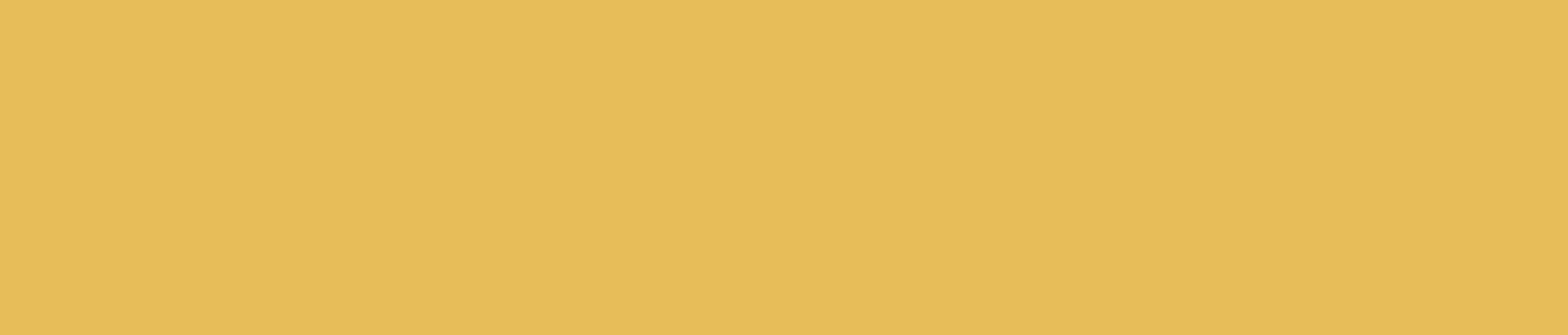 pm205 sandy yellow 1